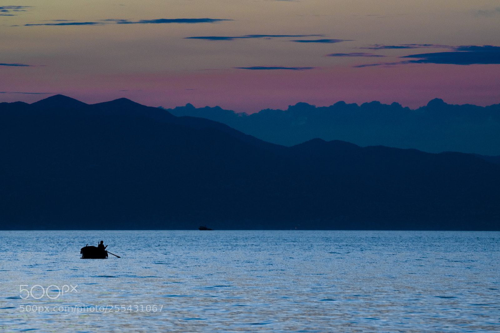 Nikon D3300 sample photo. Barka photography