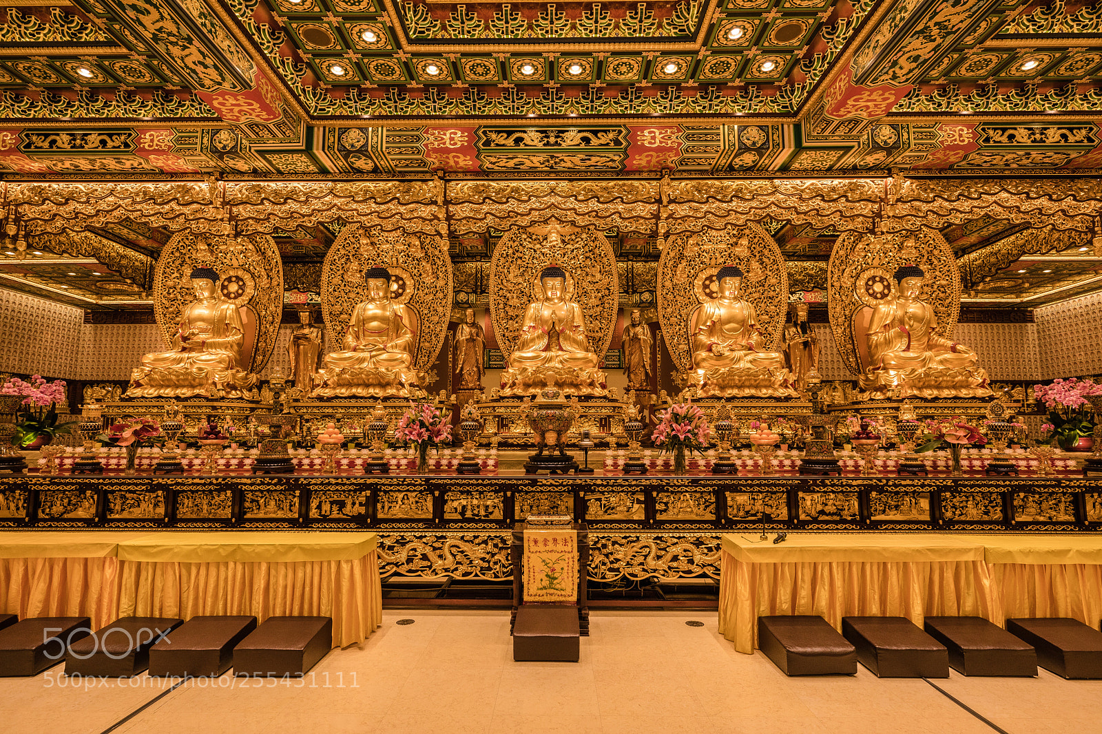 Canon EOS 5D Mark IV sample photo. Buddha show mercy photography