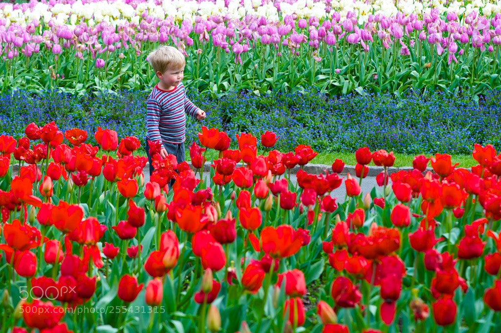 Nikon D600 sample photo. Young boy walking amongst photography