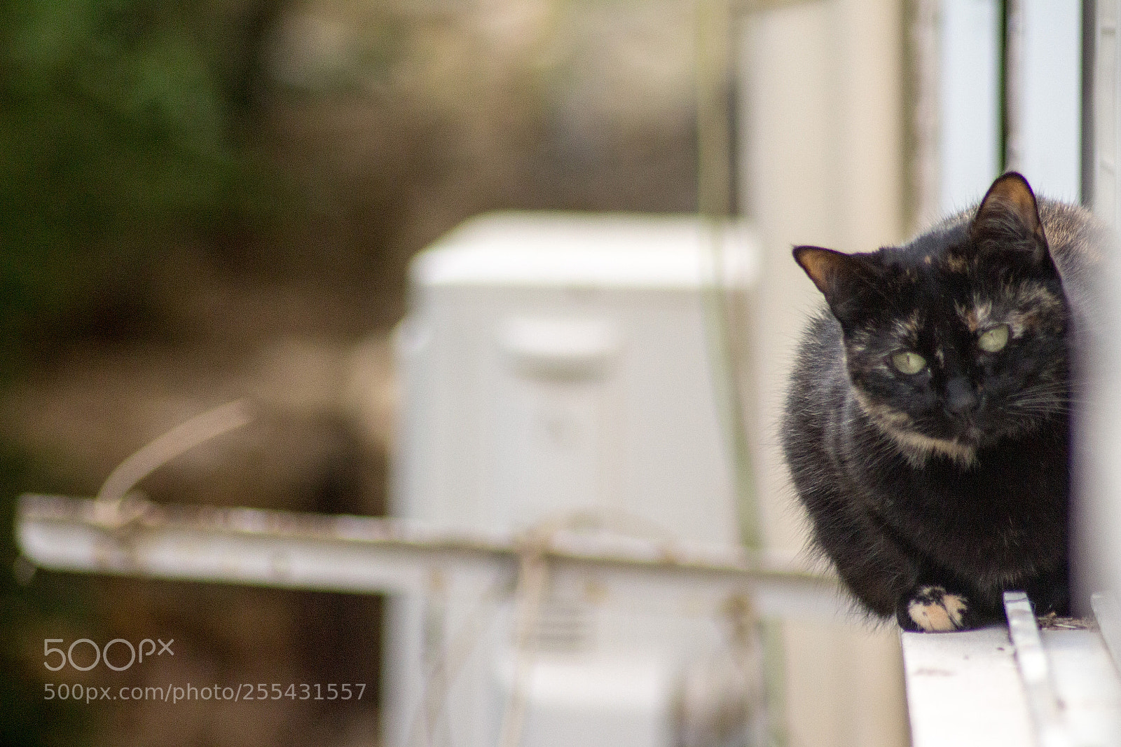 Canon EOS 700D (EOS Rebel T5i / EOS Kiss X7i) sample photo. Balcony photography