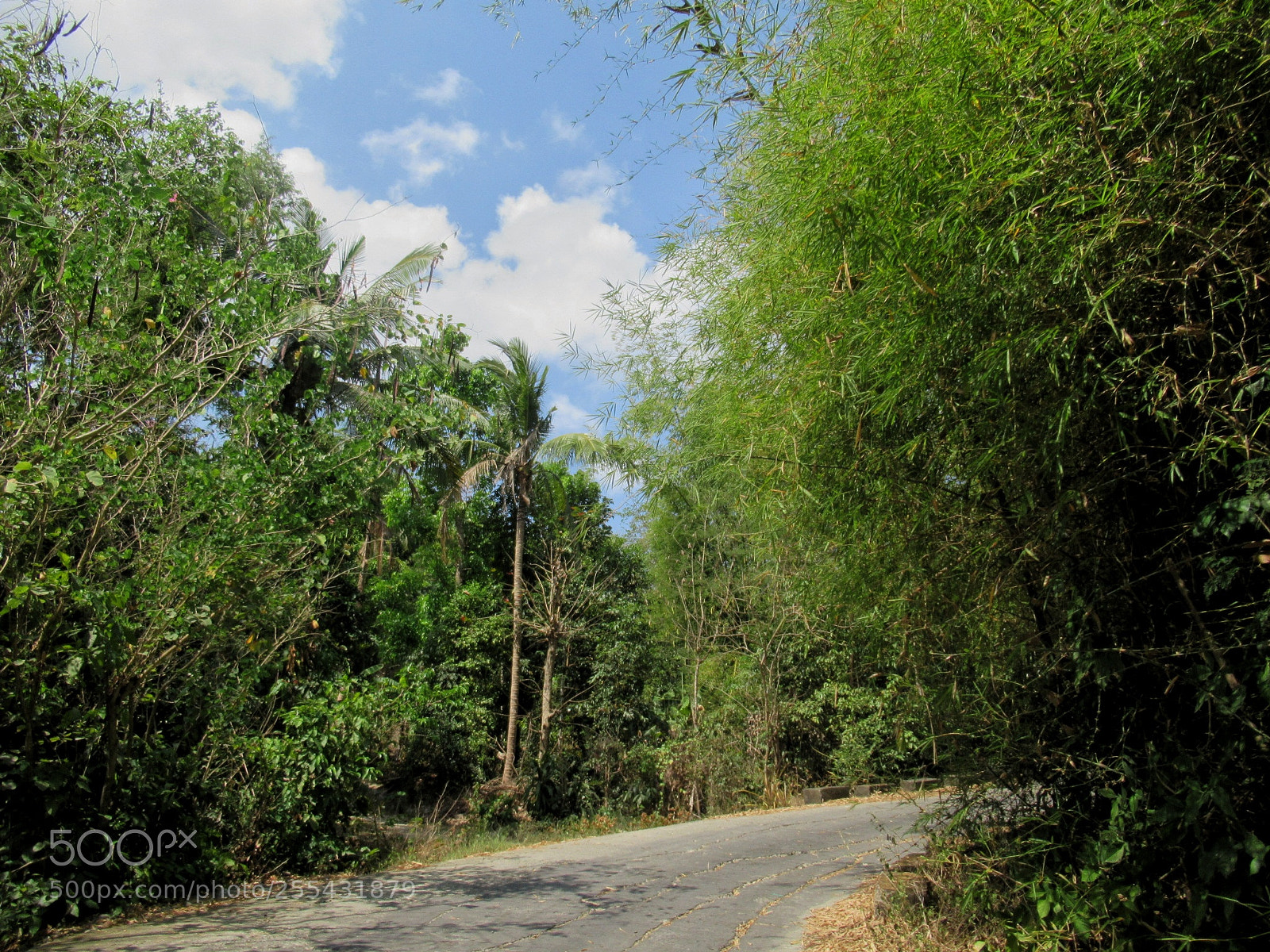 Canon PowerShot SX620 HS sample photo. Countryside photography