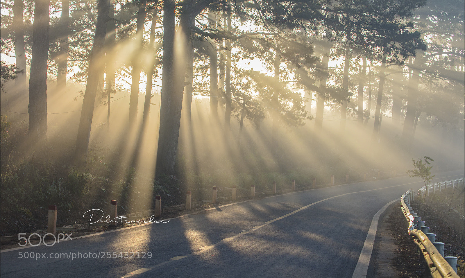 Canon EOS 5DS R sample photo. Road of sunlight photography