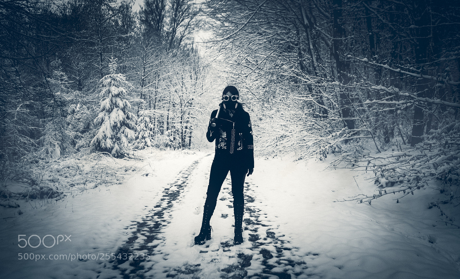 Canon EOS 5D Mark II sample photo. Apocalypse winter photography