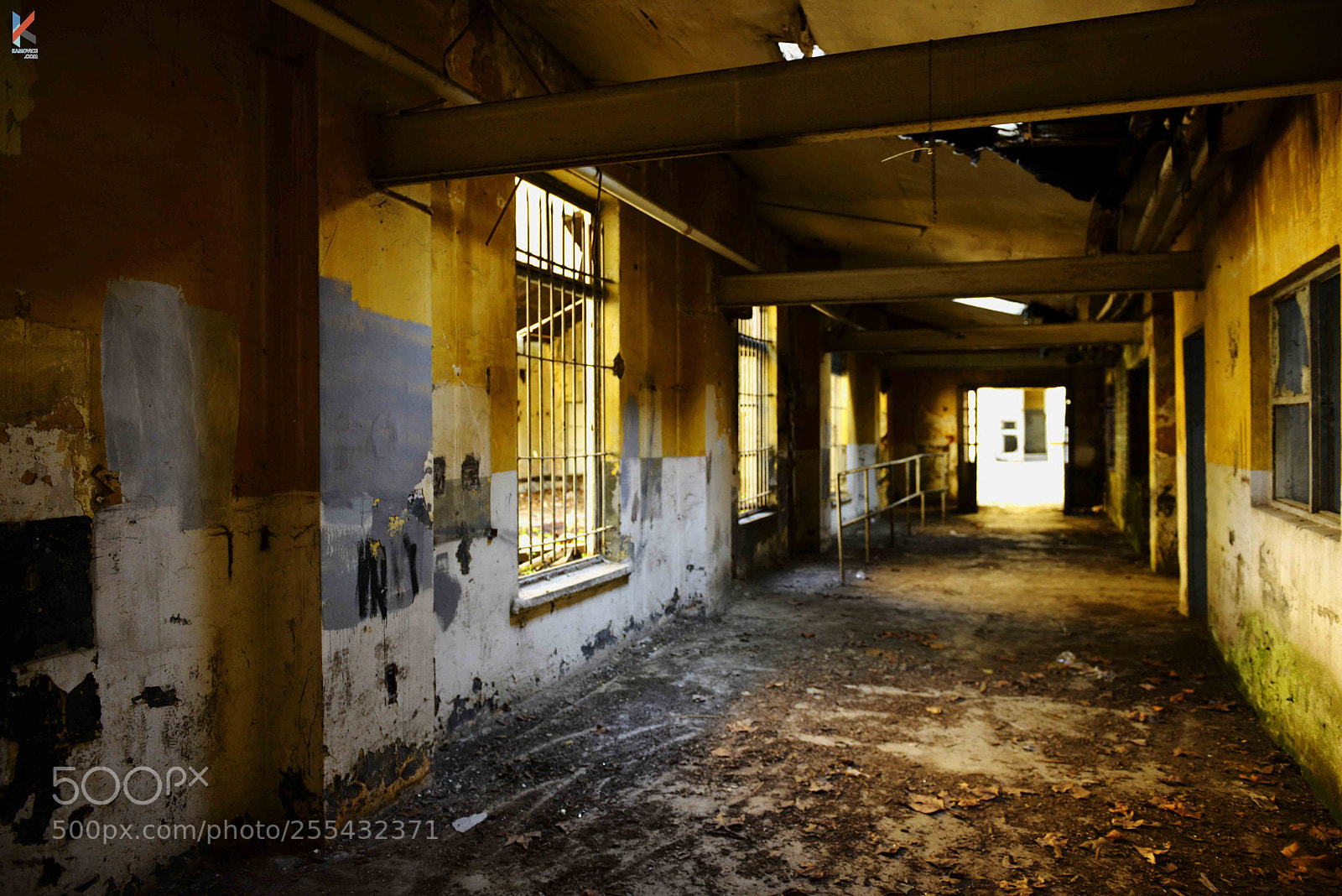 Nikon D800E sample photo. Oac photography
