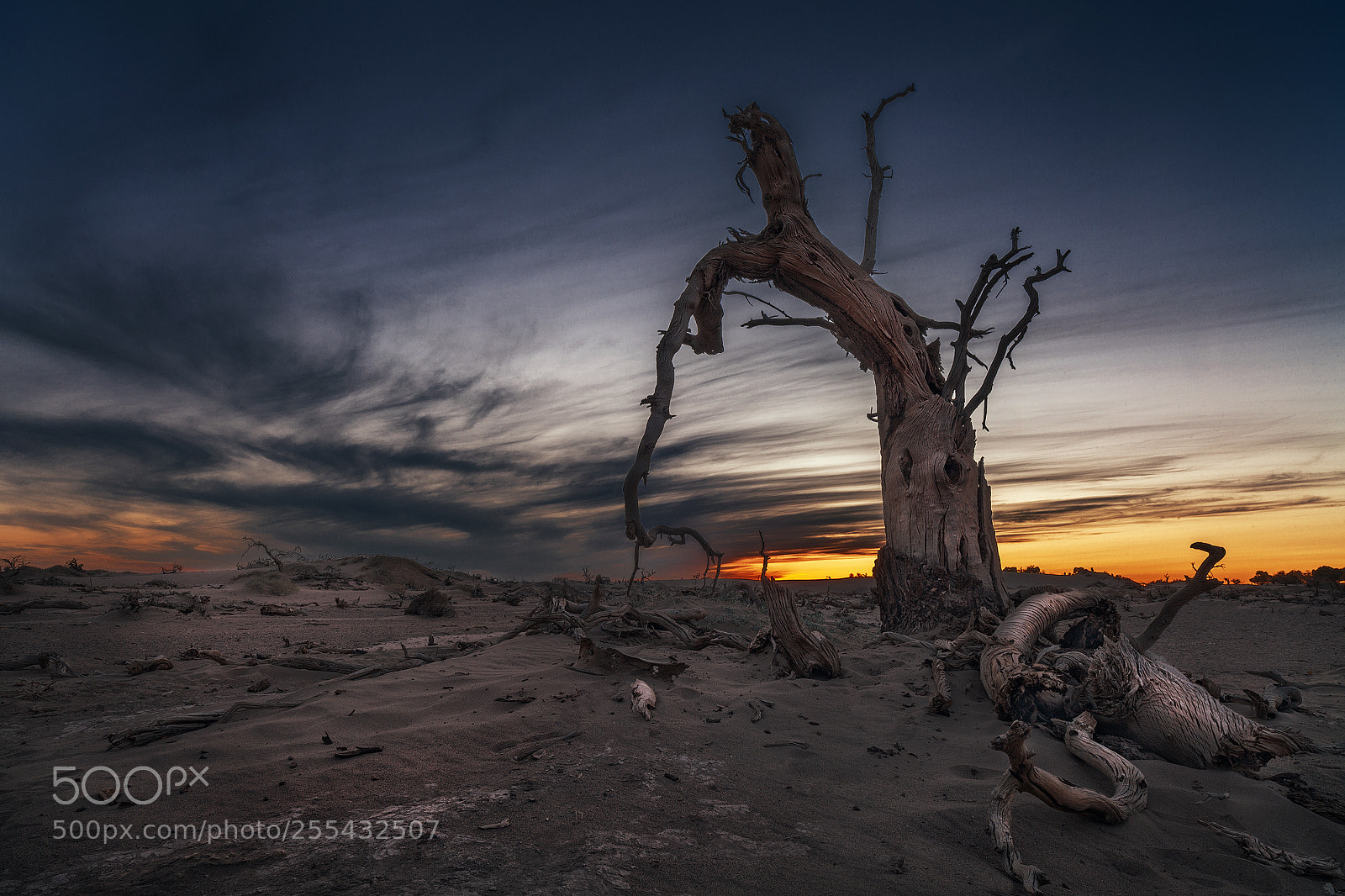 Canon EOS 5D Mark II sample photo. Sun set photography