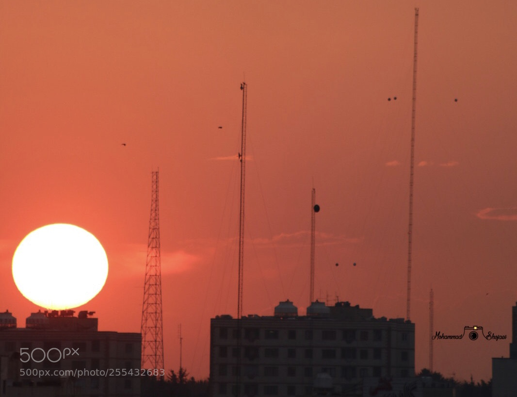 Canon EOS 70D sample photo. Sunset photography