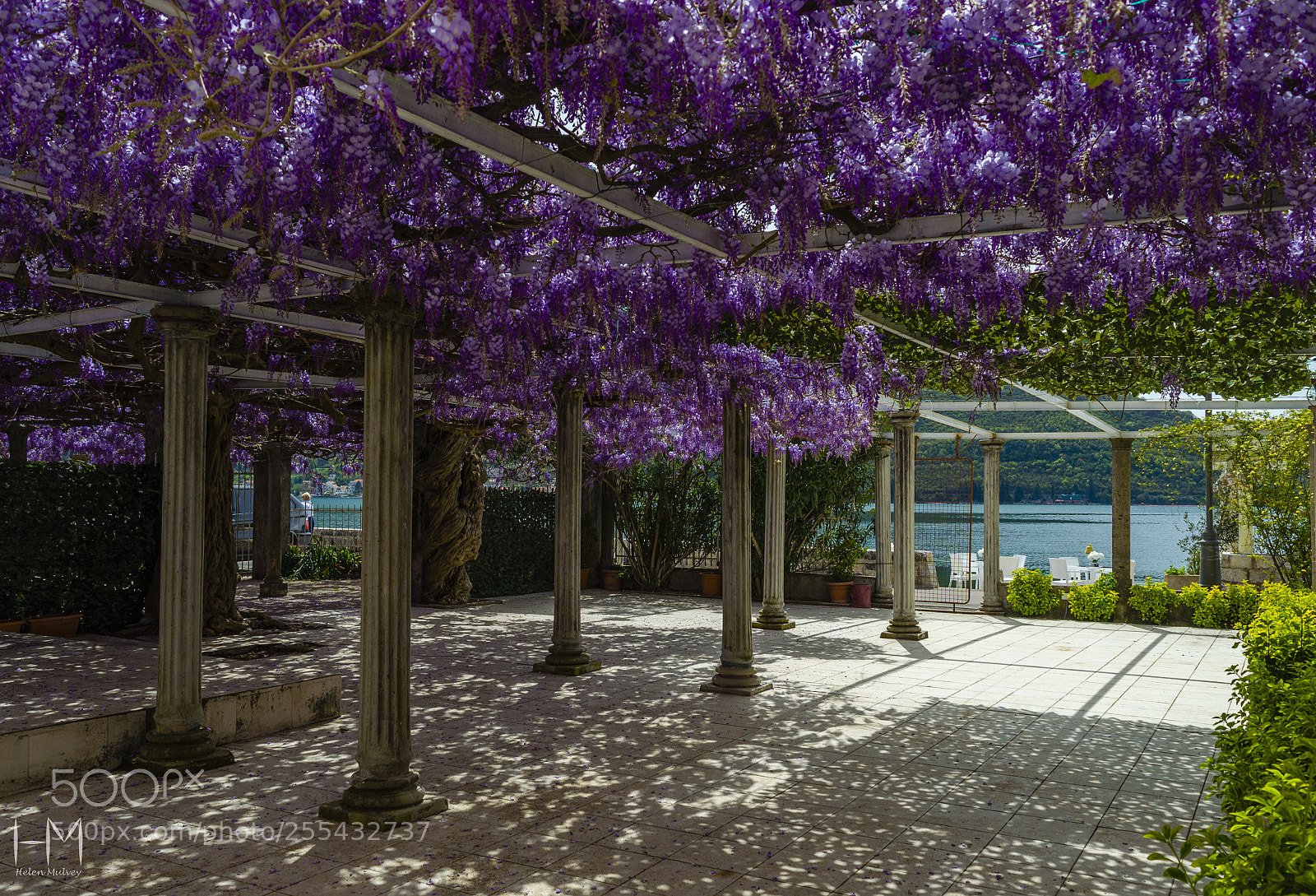 Nikon D5100 sample photo. A quiet spot  photography