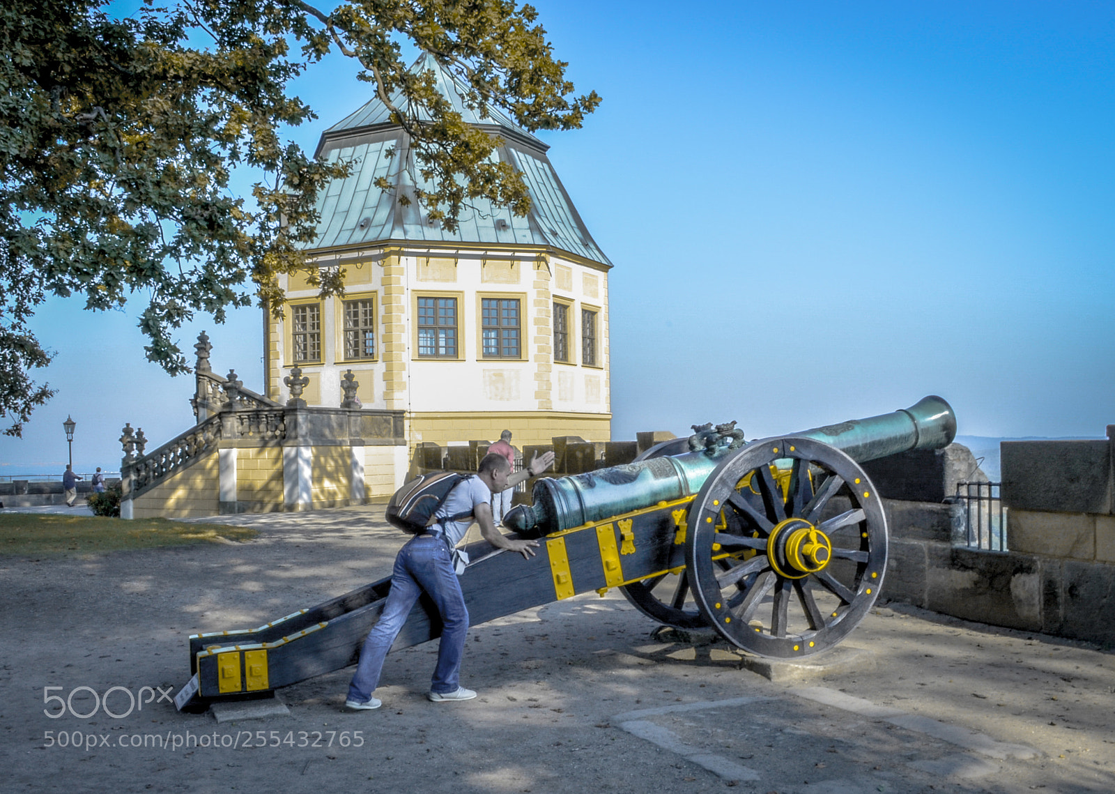Nikon D5100 sample photo. Russian gun photography