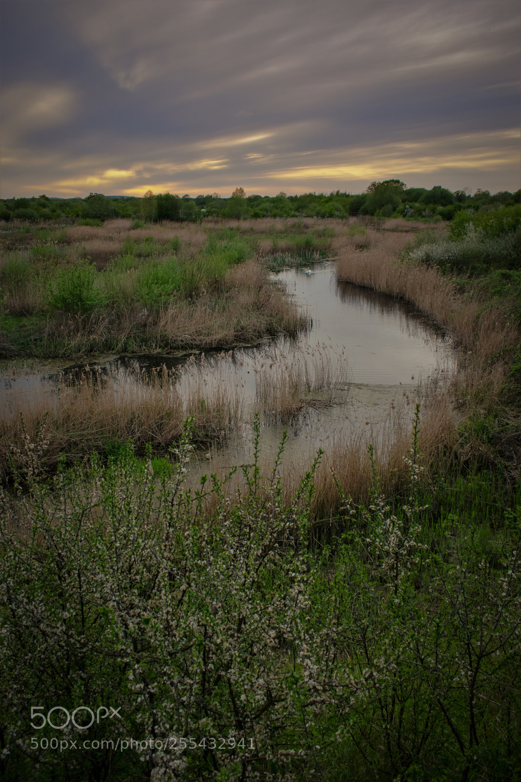 Nikon D3300 sample photo. Serenity photography