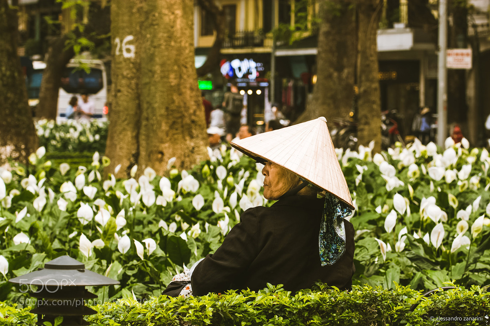 Nikon D7100 sample photo. Woman and flowers in photography