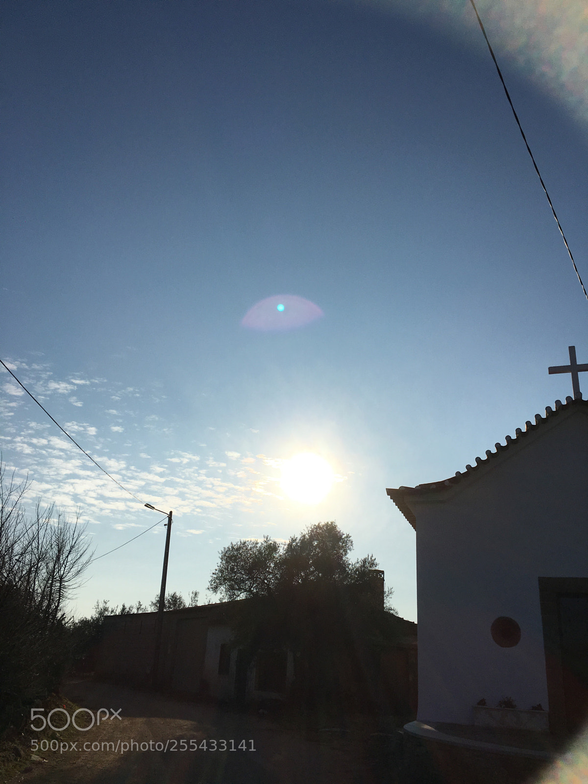 Apple iPhone 6s sample photo. Untitled photography