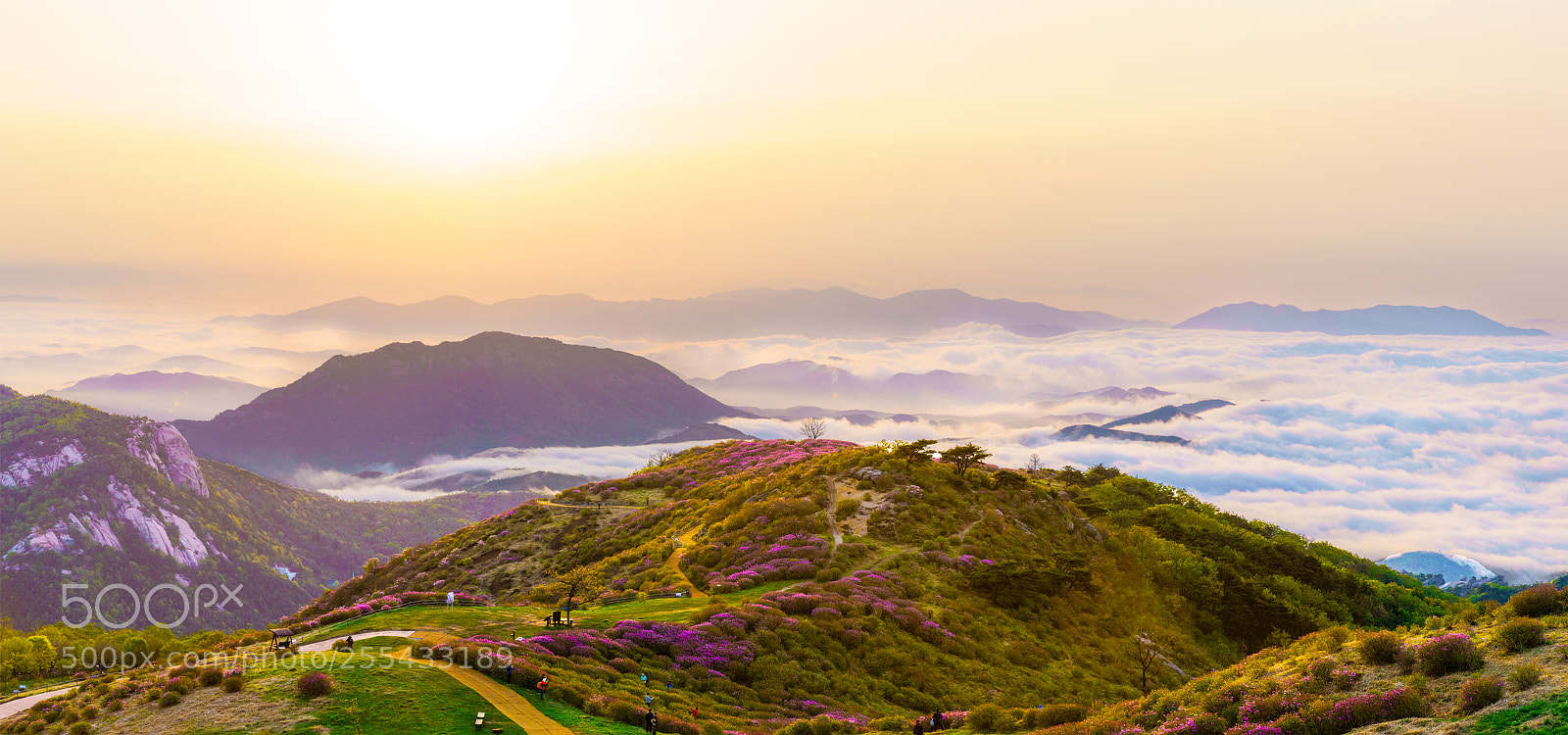 Sony a7R II sample photo. 황매산 photography