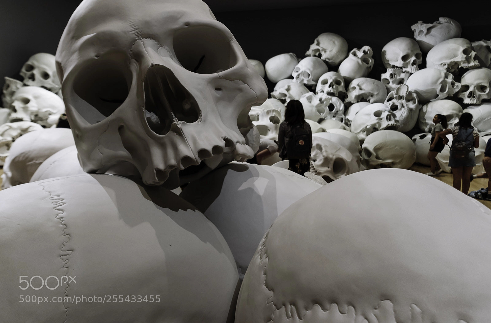 Nikon D810 sample photo. Triennial skulls photography