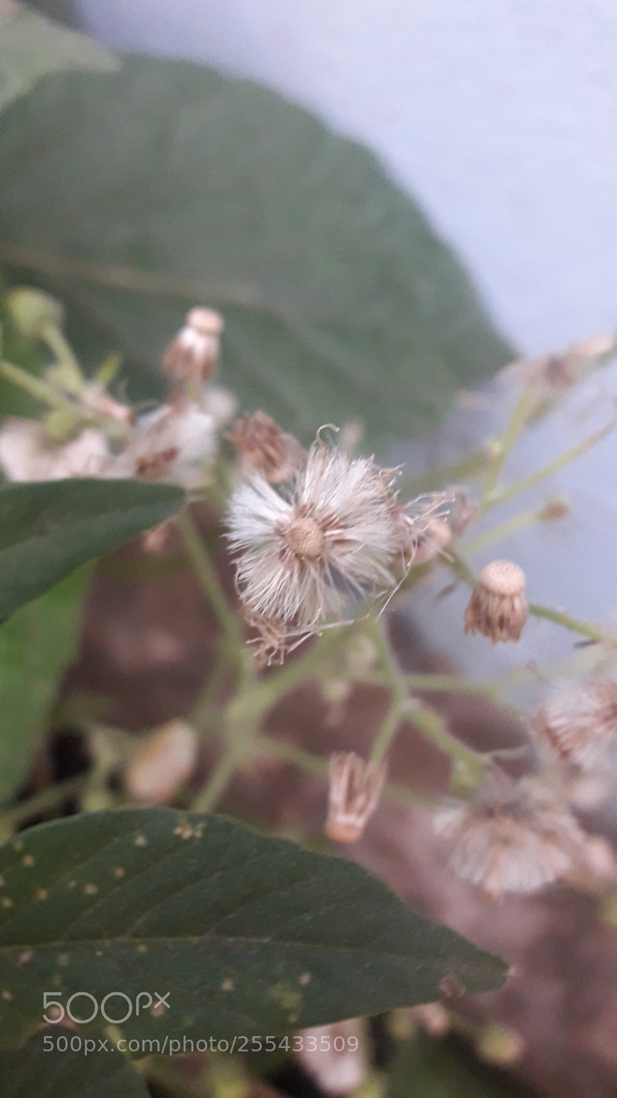 Samsung Galaxy J7 Neo sample photo. Untitled photography