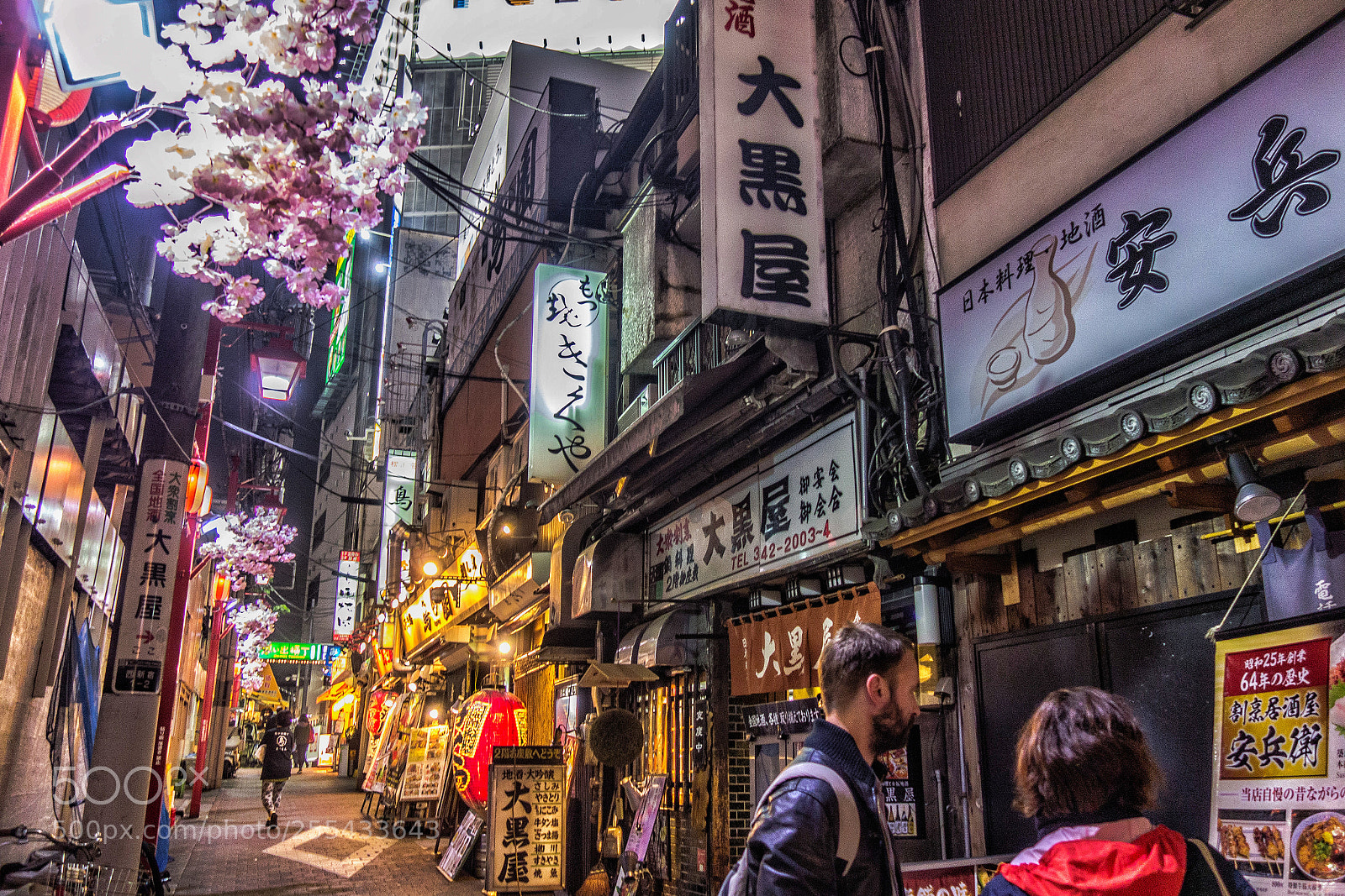 Sony Cyber-shot DSC-RX100 sample photo. Omoide yokotyou photography