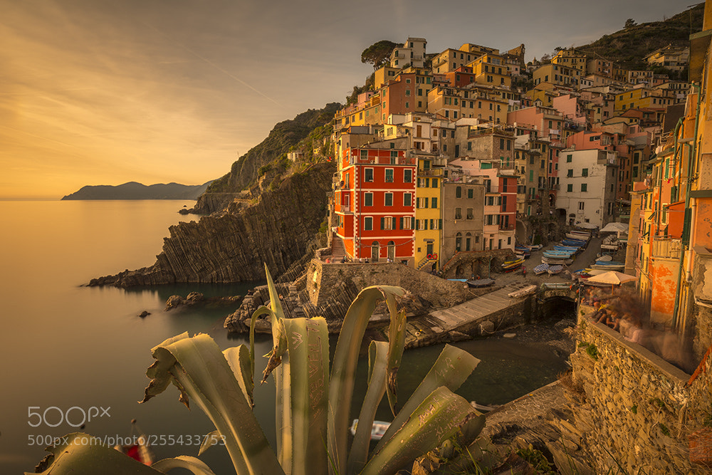 Canon EOS-1D X sample photo. Riomaggiore photography