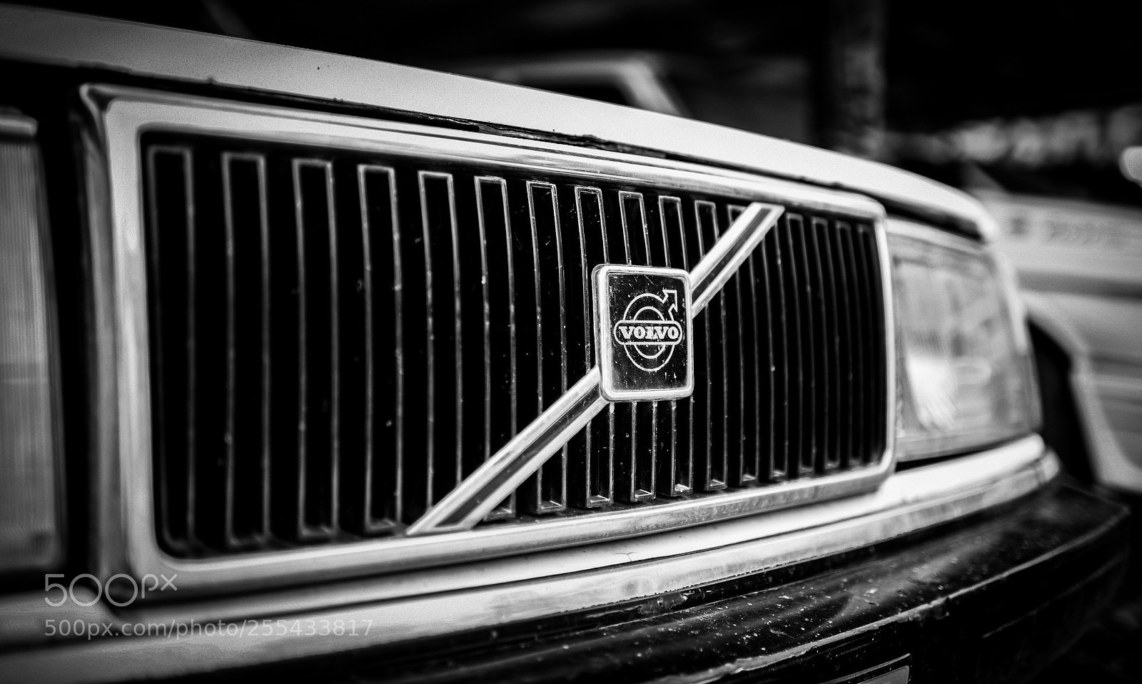 Nikon D850 sample photo. ? photography