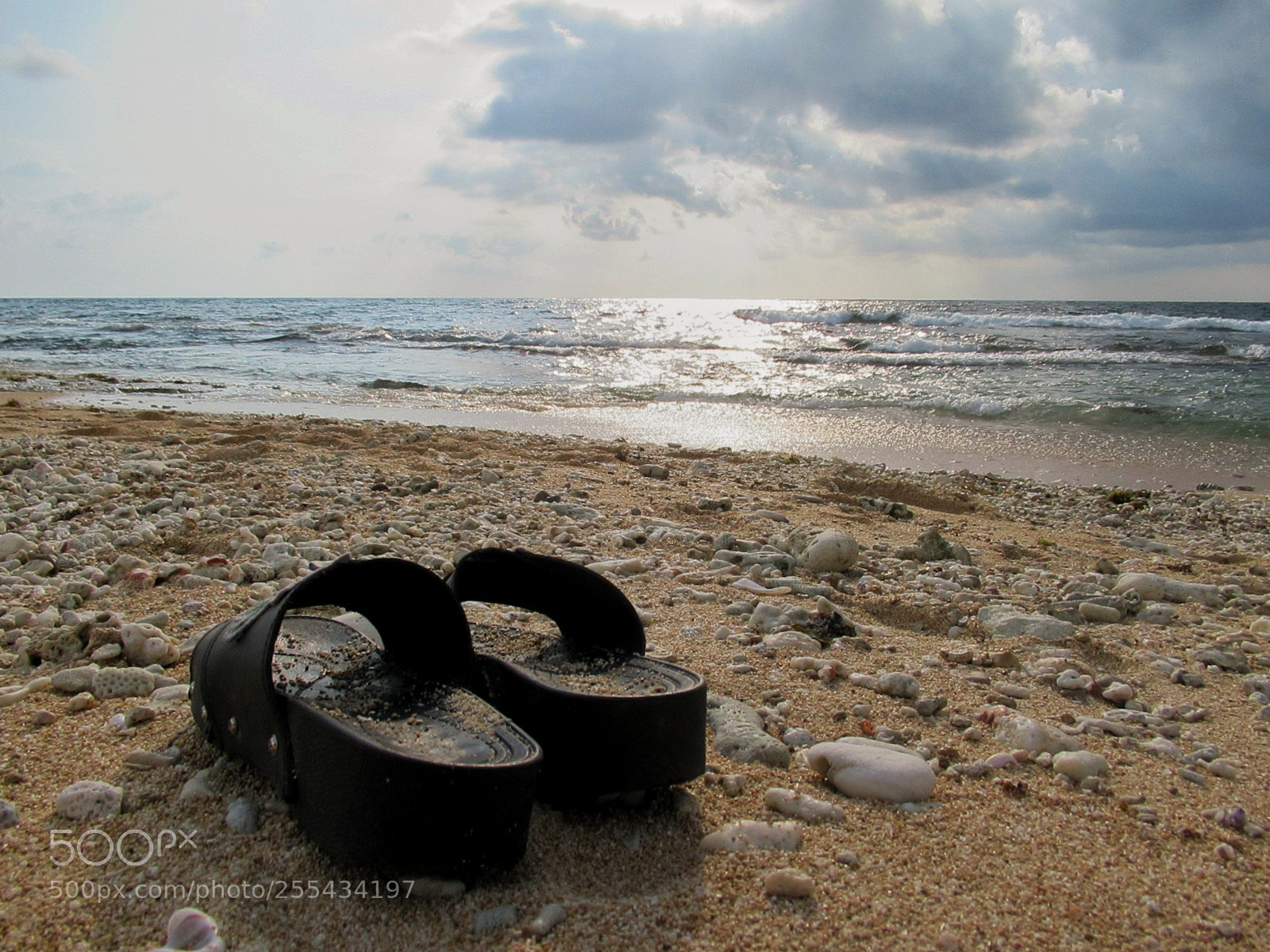Canon PowerShot SX620 HS sample photo. Ashore photography