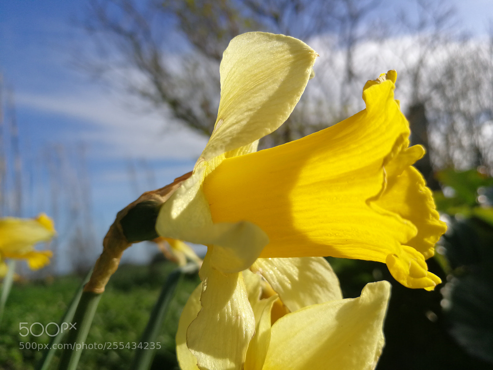 HUAWEI P10 sample photo. Untitled photography