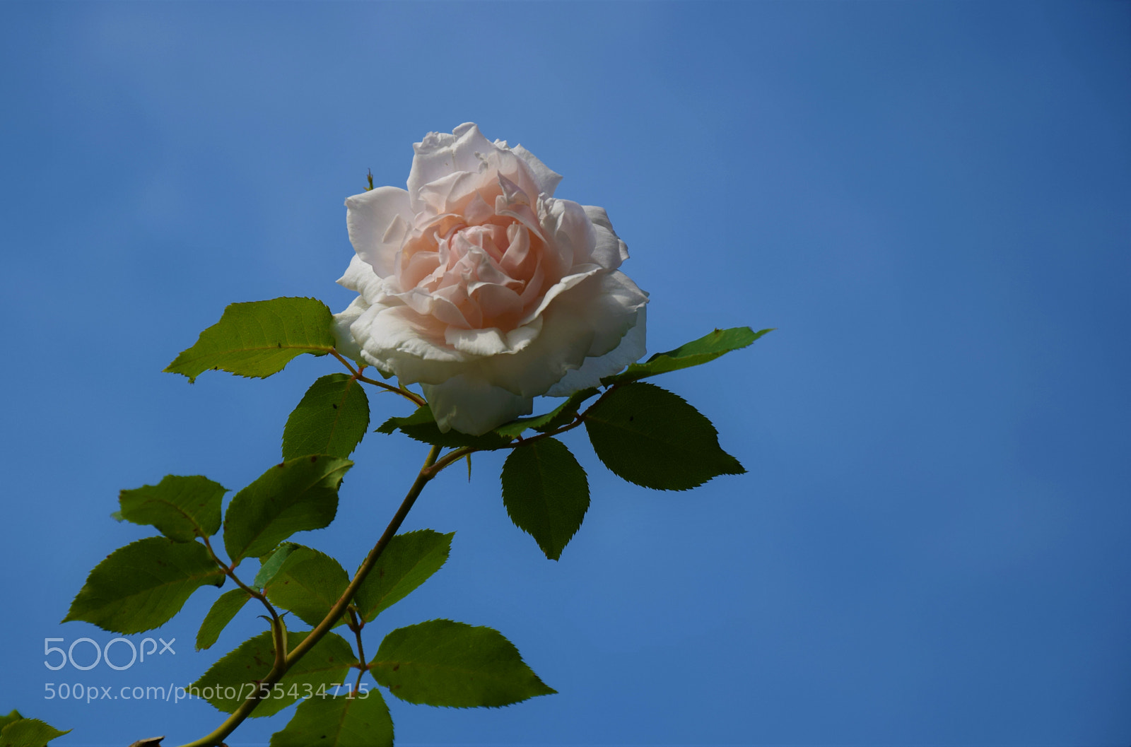 Nikon D3300 sample photo. Dsc photography