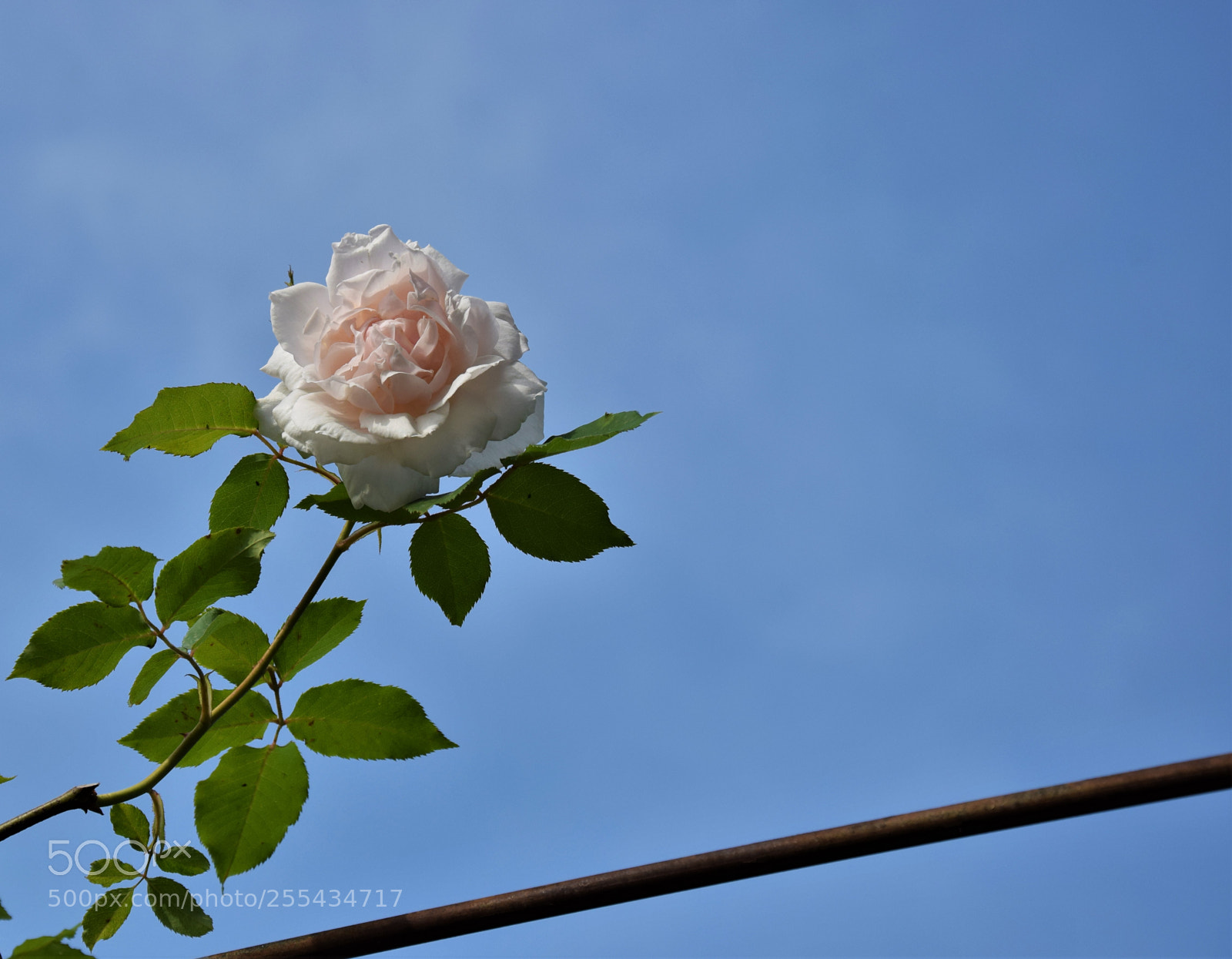 Nikon D3300 sample photo. Dsc photography