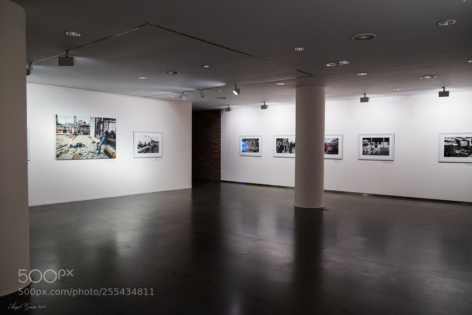 Fujifilm X-T1 sample photo. Vida photography