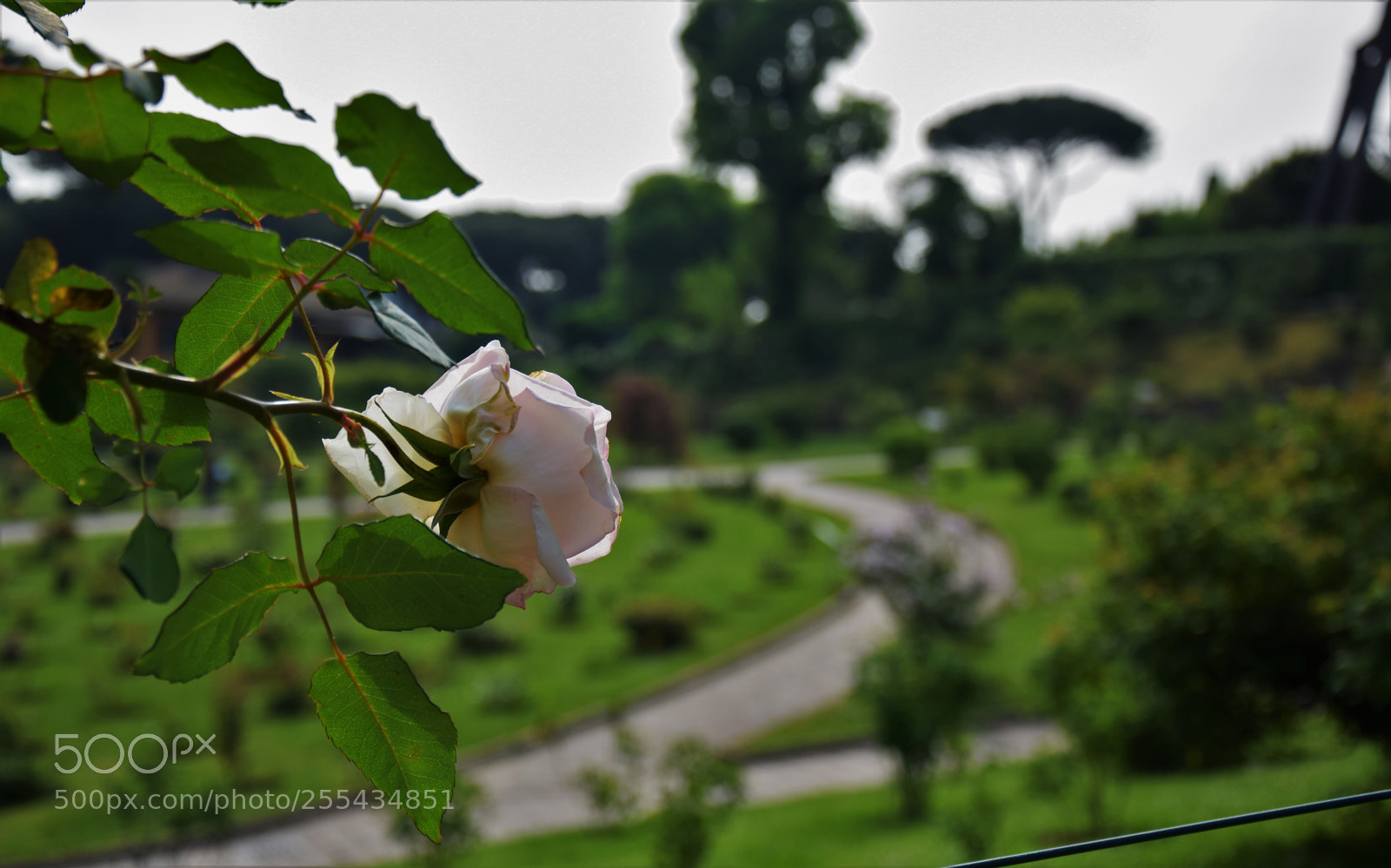 Nikon D3300 sample photo. Dsc photography