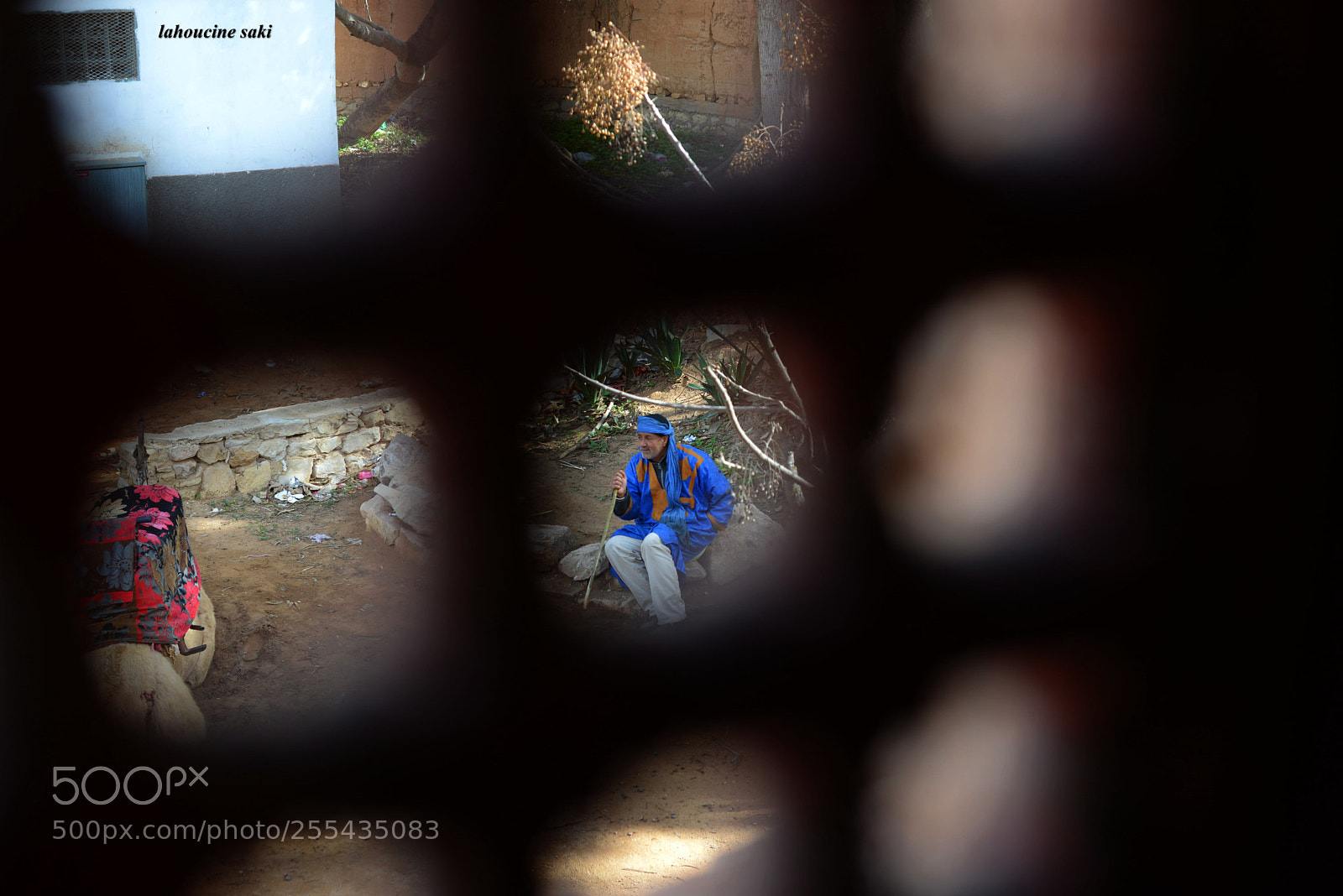Nikon D600 sample photo. Untitled photography