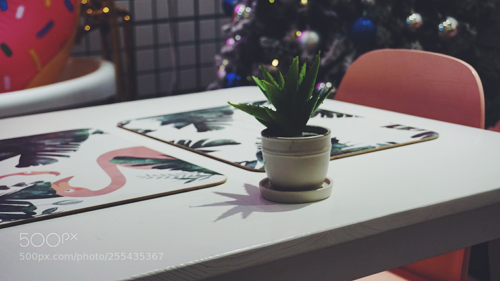 Sony a6000 sample photo. Untitled photography