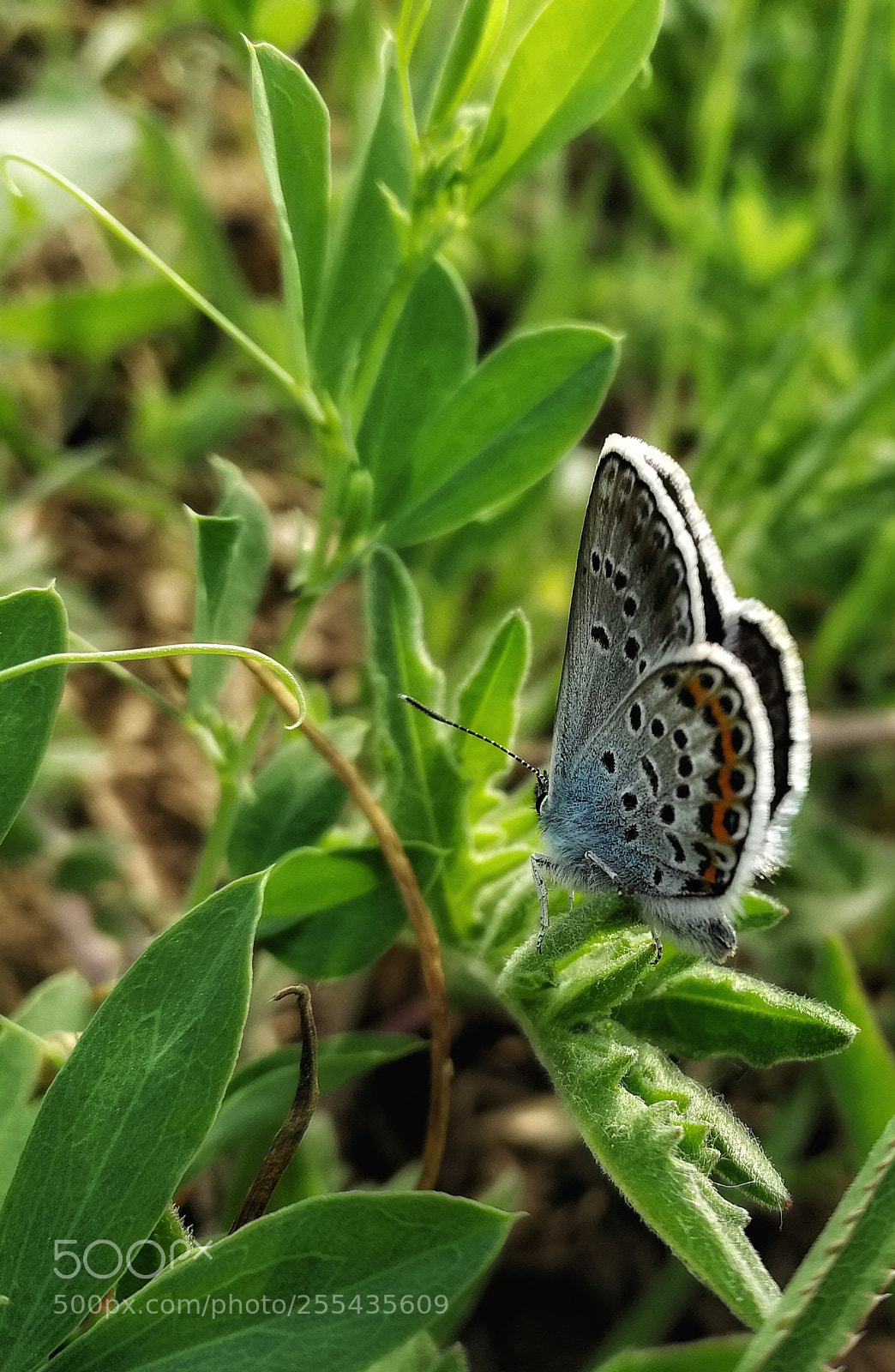HUAWEI P10 sample photo. Ready photography