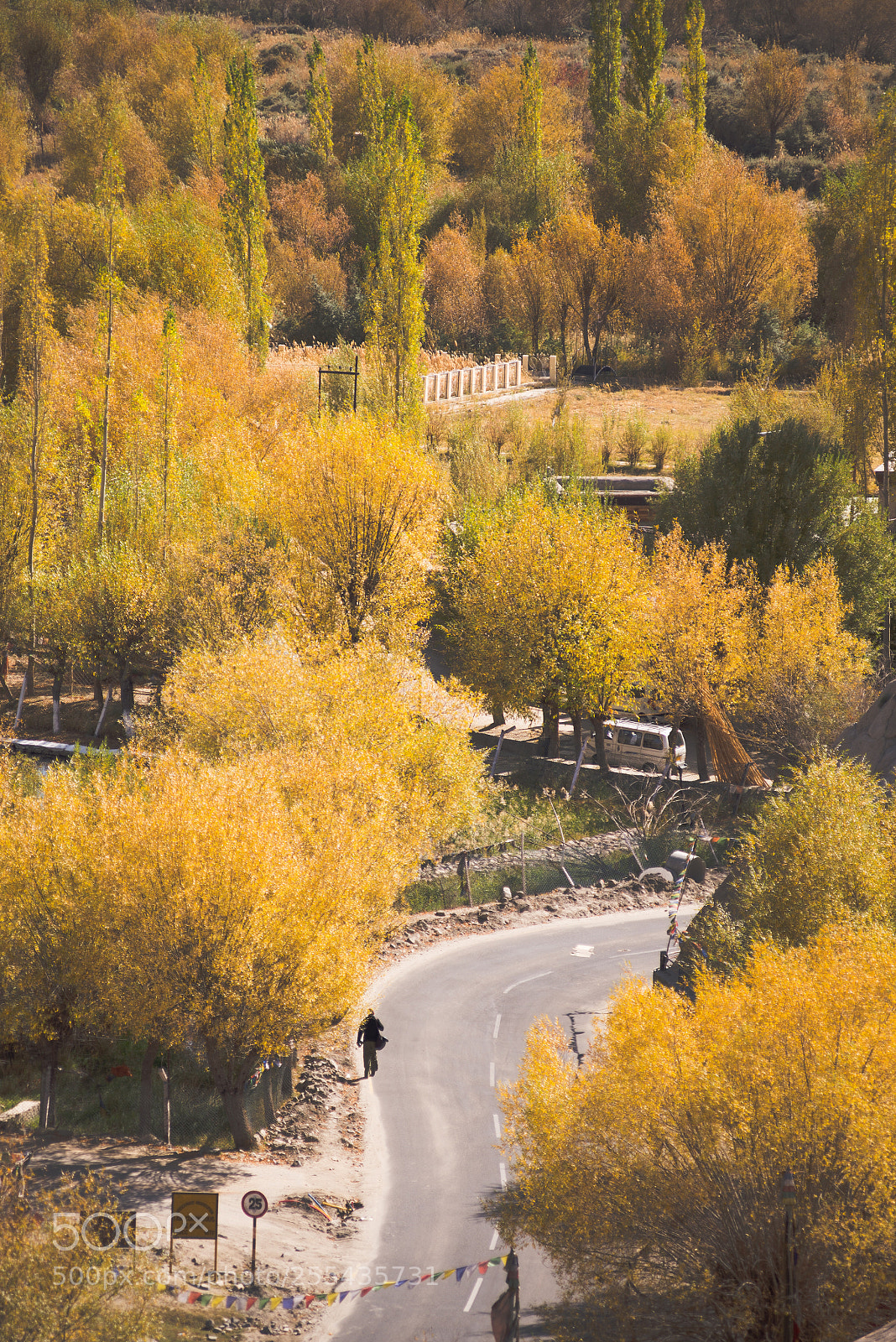 Nikon D600 sample photo. Autumn_1 photography