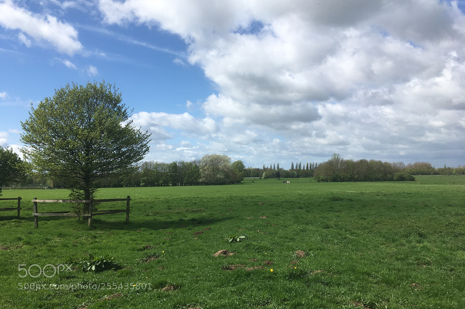 Apple iPhone SE sample photo. West common  photography