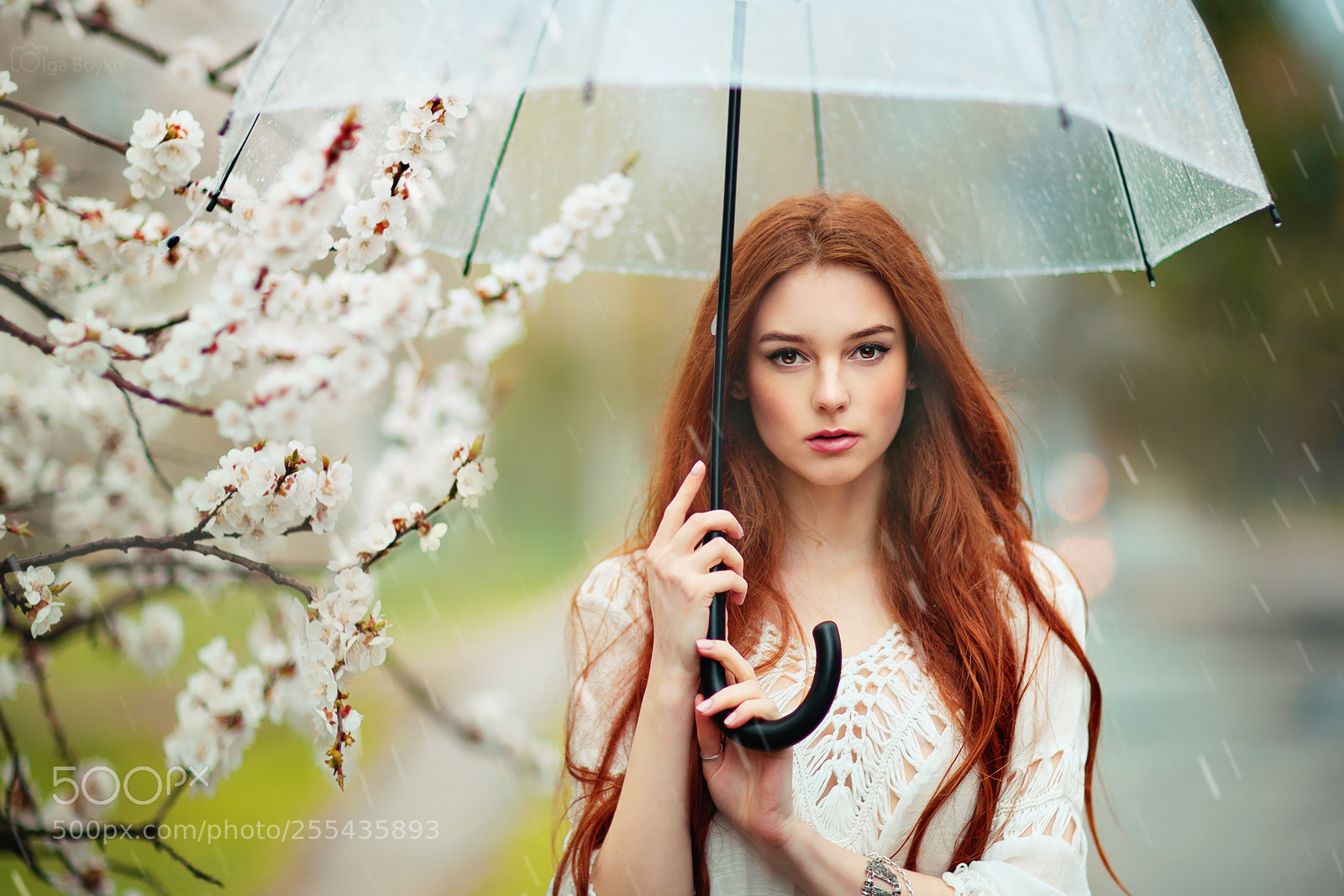 Canon EOS 5D Mark II sample photo. Spring rain photography