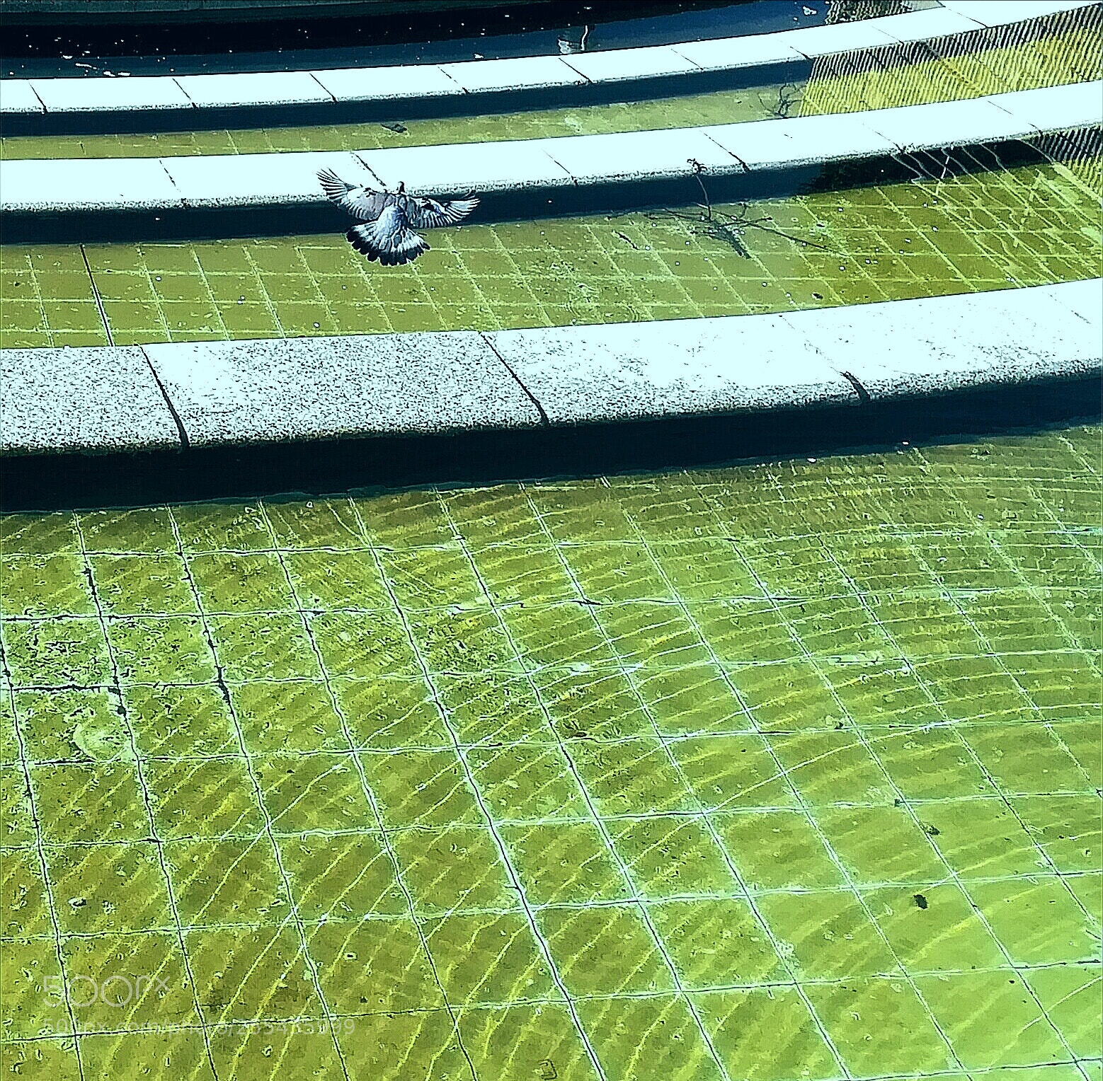 HUAWEI PRA-LX1 sample photo. Alzar el vuelo photography