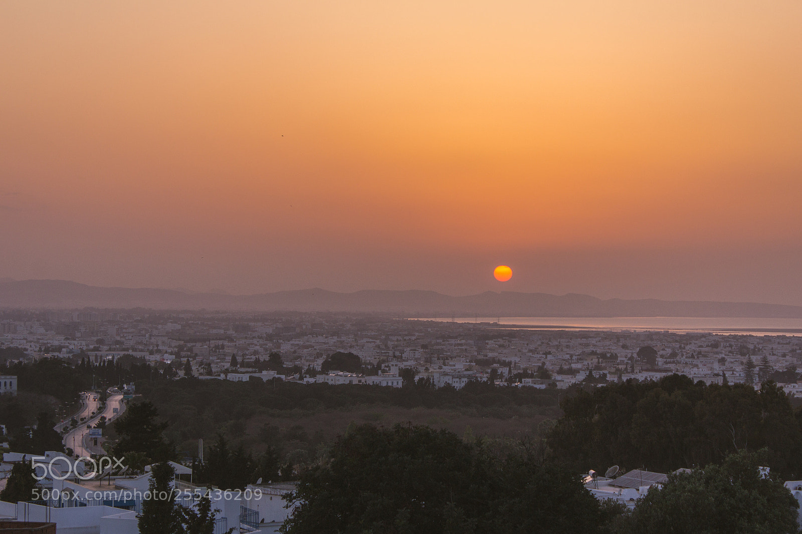 Canon EOS 60D sample photo. Breath taking photography