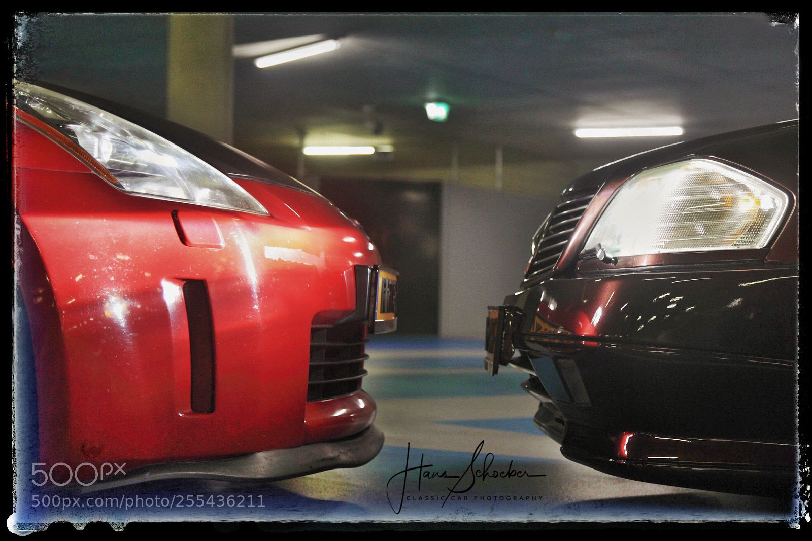 Canon EOS 5D Mark II sample photo. Butting heads.... photography