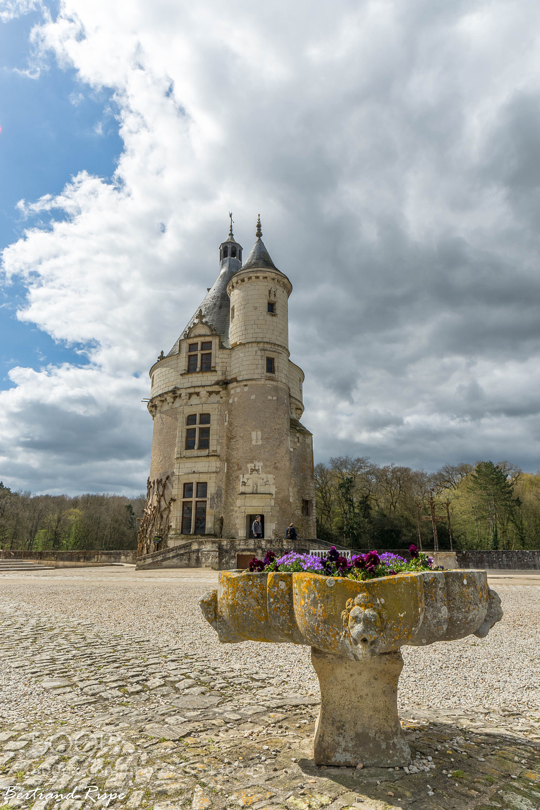 Nikon D7200 sample photo. La tour photography