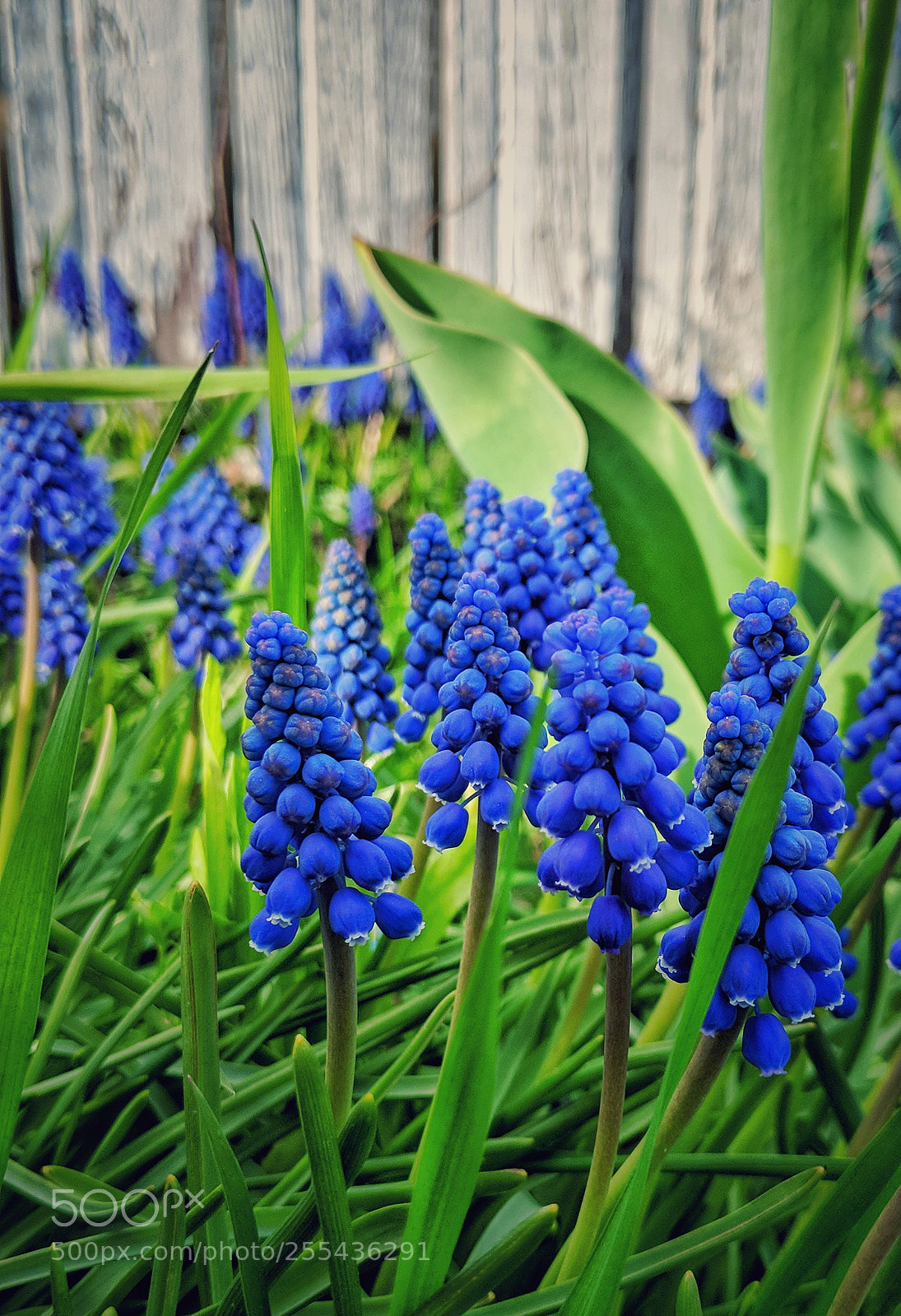 Google Pixel 2 XL sample photo. Untitled photography