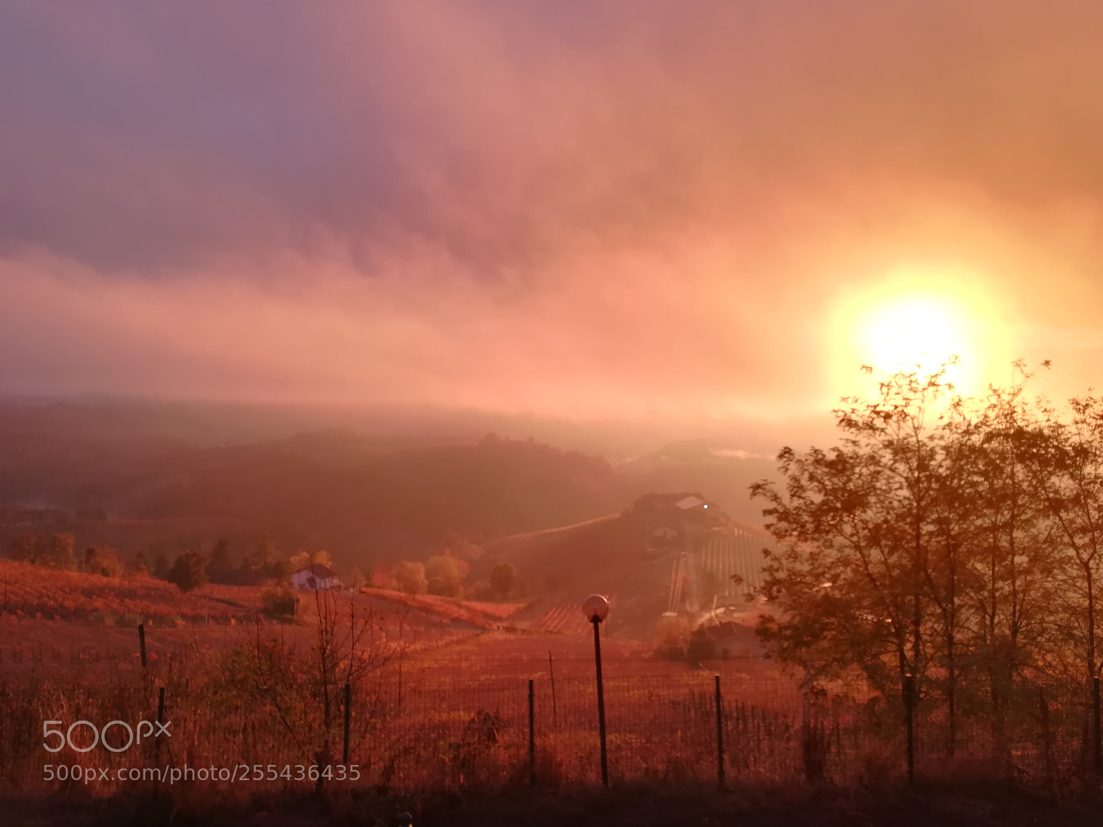 HUAWEI P10 lite sample photo. Eternal sunshine photography