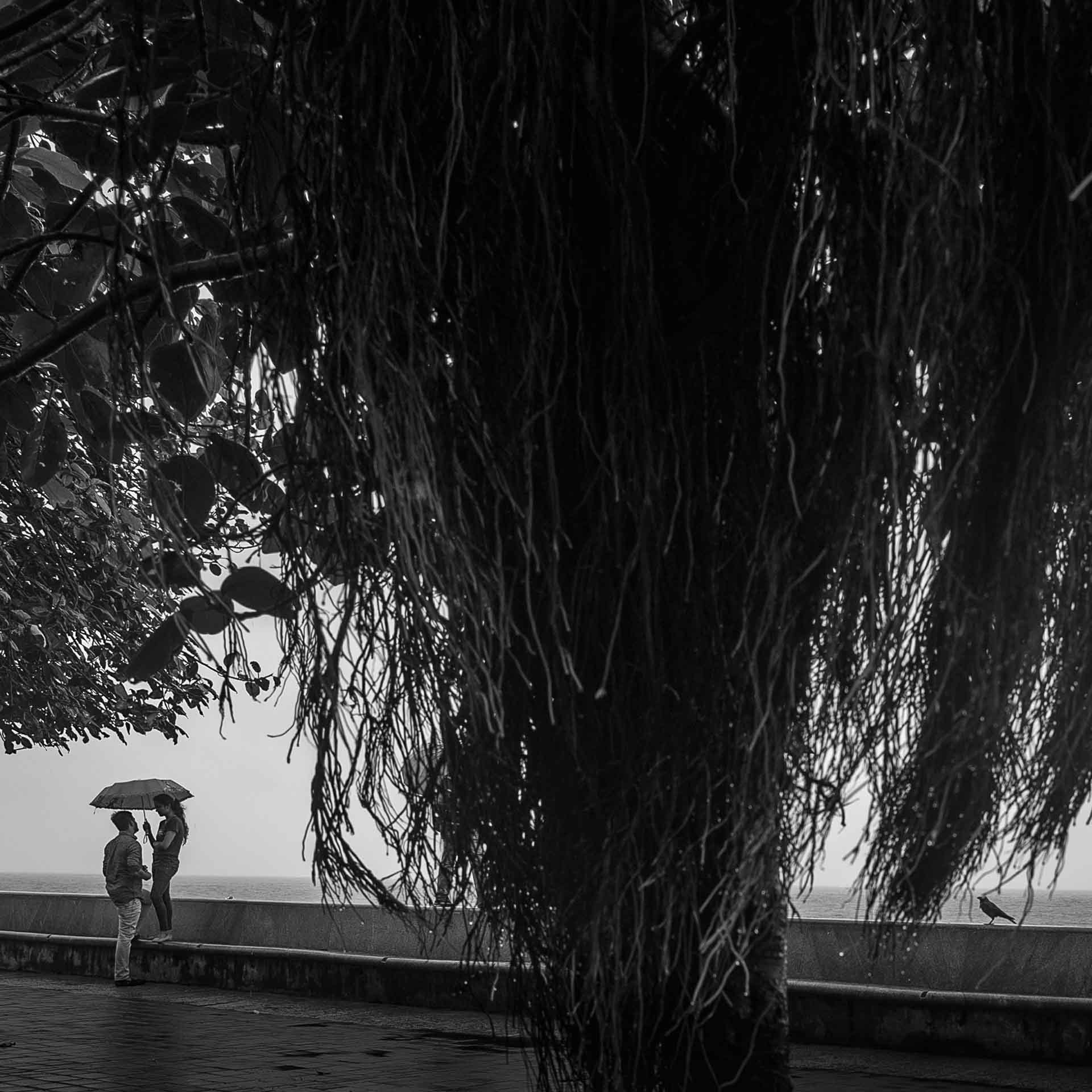 Leica M-Monochrom sample photo. "love....bird" photography