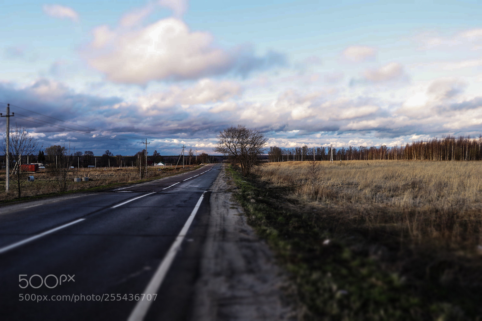 Canon EOS 80D sample photo. On the roadside.... photography
