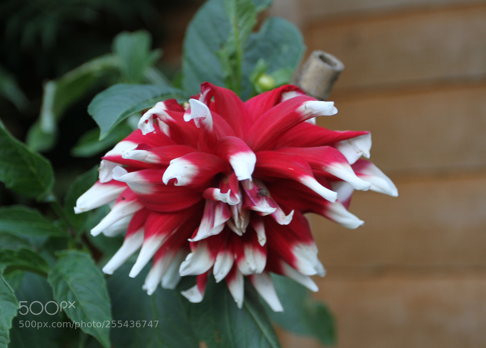 Canon EOS 7D sample photo. In and around ely photography