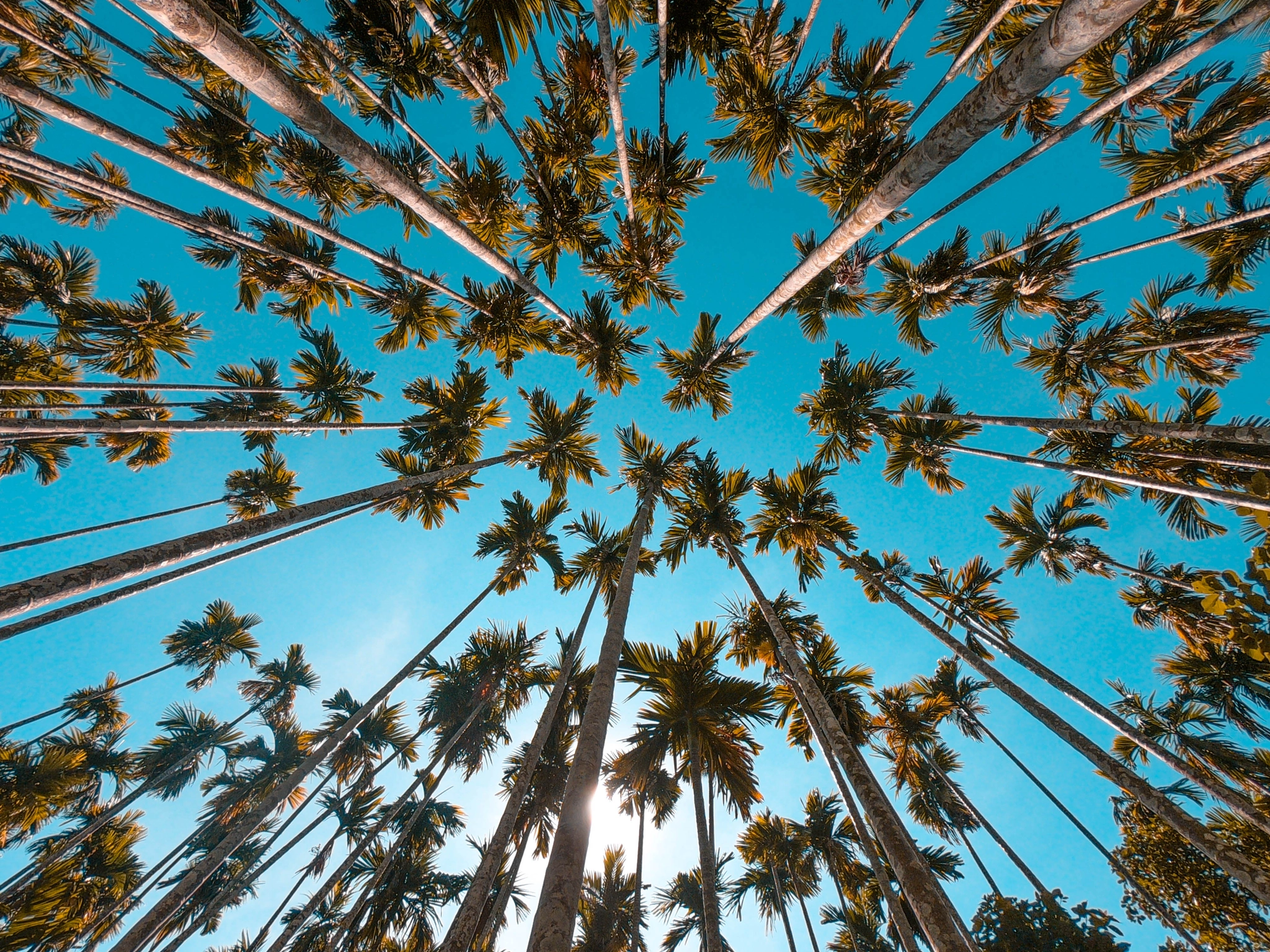 GoPro Hero6 Black sample photo