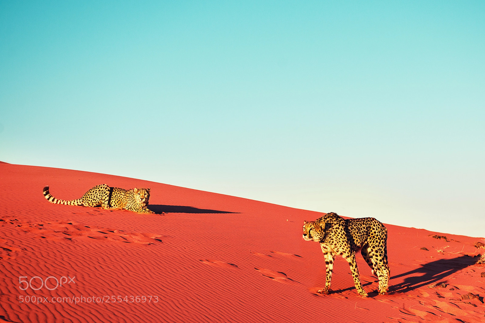 Nikon D800E sample photo. Wilderness photography