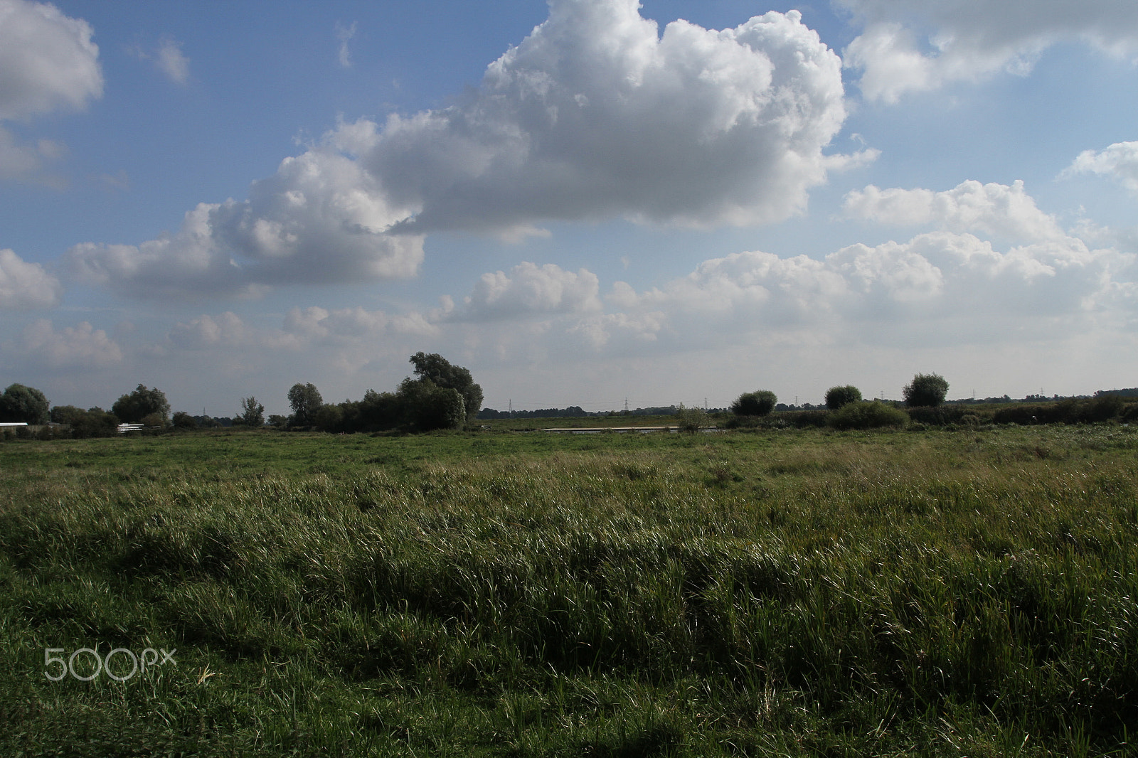 Canon EOS 7D + Canon EF 17-40mm F4L USM sample photo. In and around ely, cambridgeshire in autumn photography