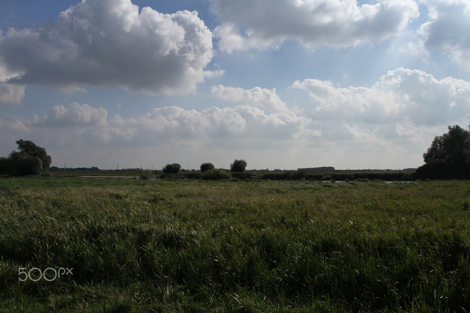 Canon EOS 7D + Canon EF 17-40mm F4L USM sample photo. In and around ely, cambridgeshire in autumn photography