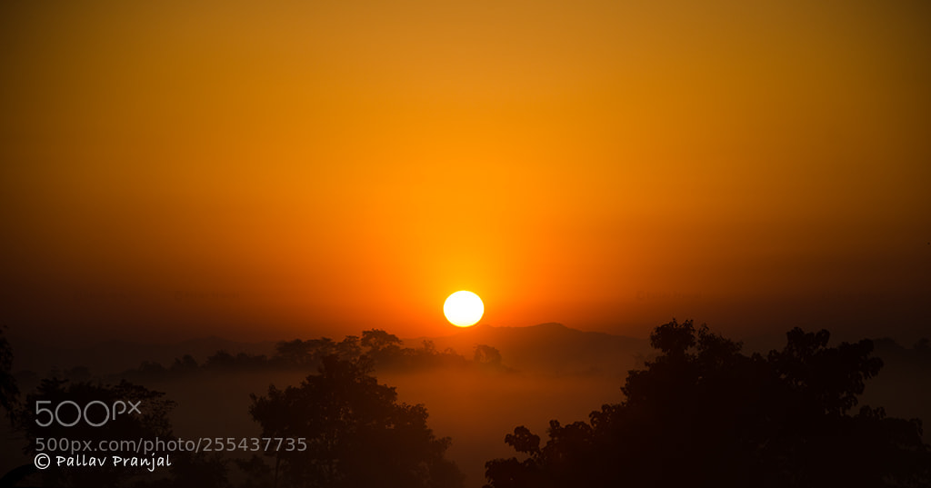 Nikon D7000 sample photo. Sun rise photography