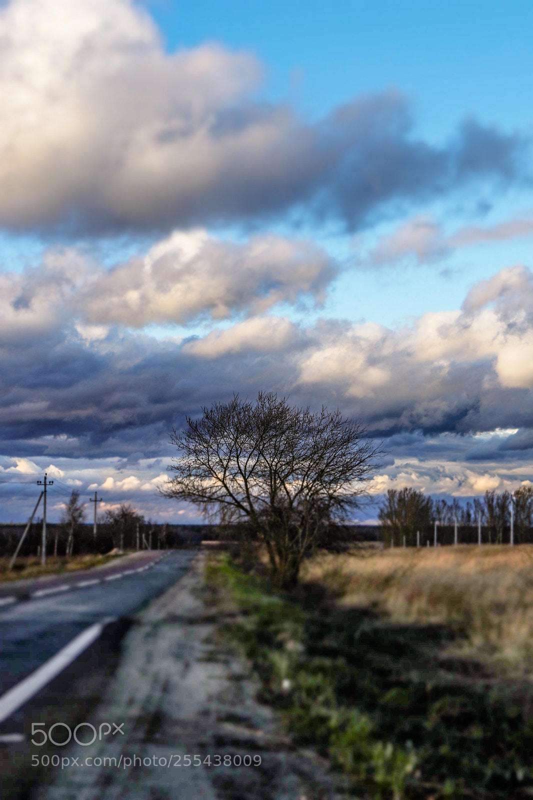 Canon EOS 80D sample photo. Spring evening.... photography