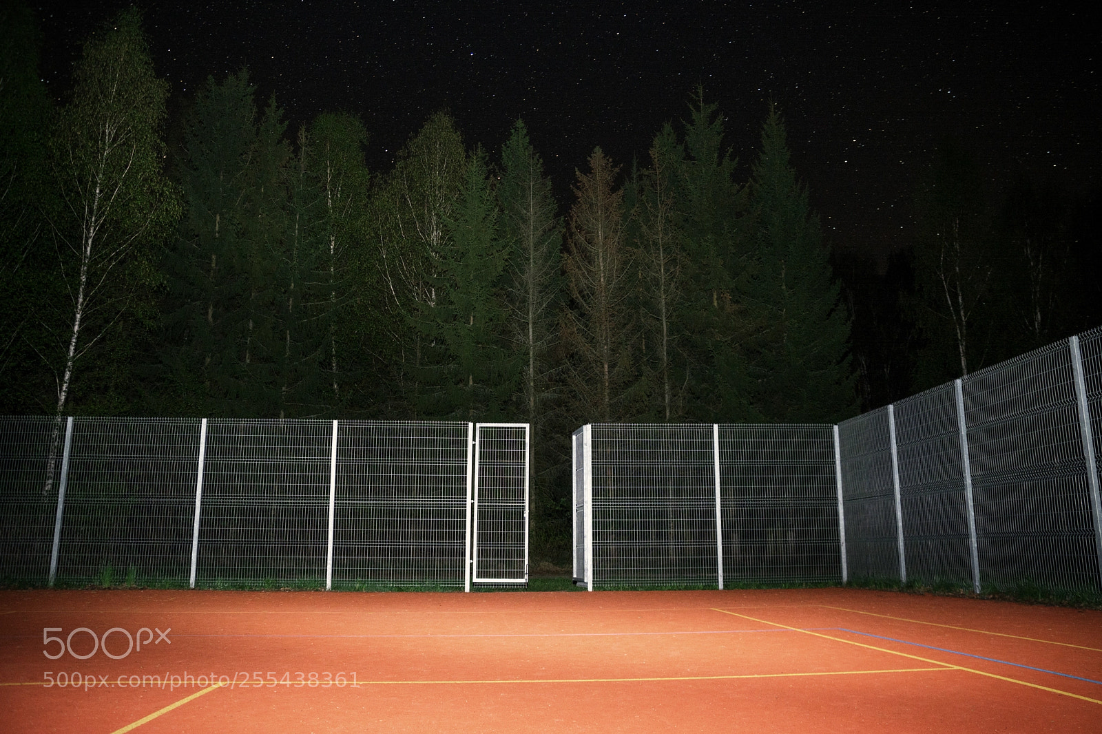 Nikon D7100 sample photo. Playground love photography