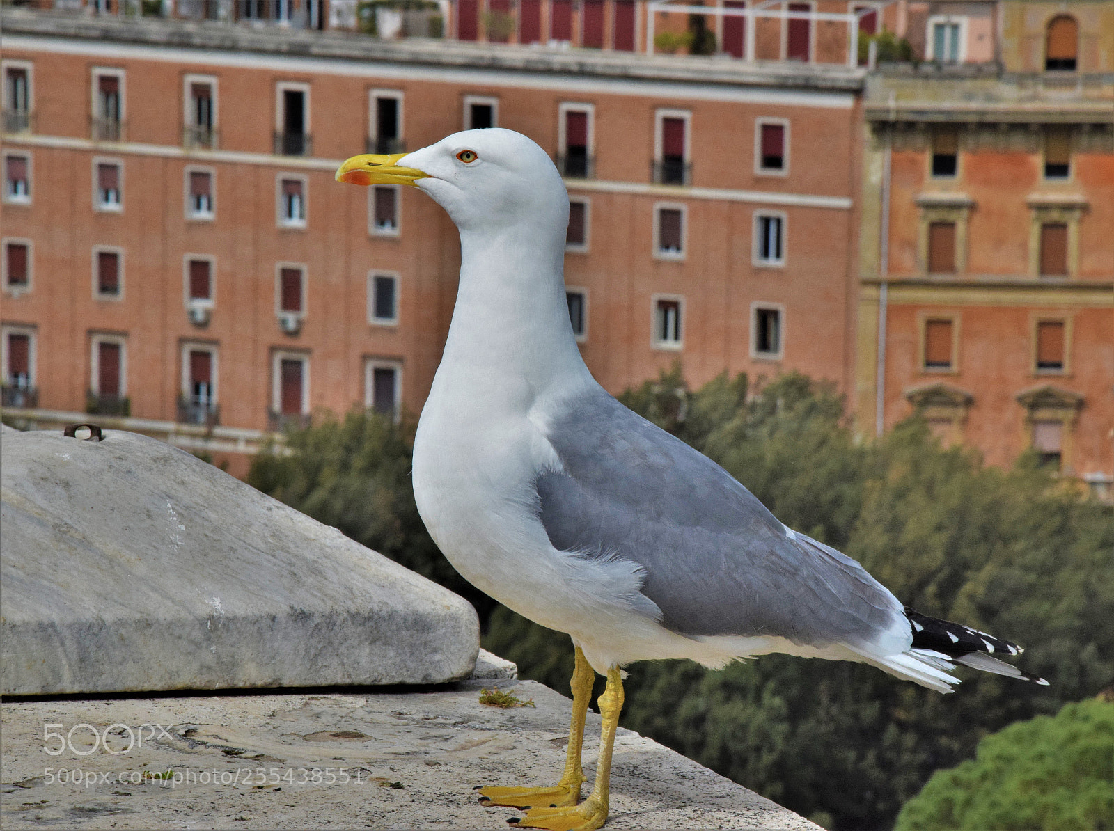 Nikon D3300 sample photo. Dsc photography
